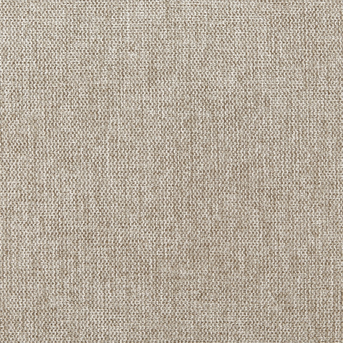 New Pacific Direct Jolene Fabric Accent Arm Chair  - 9300125-705