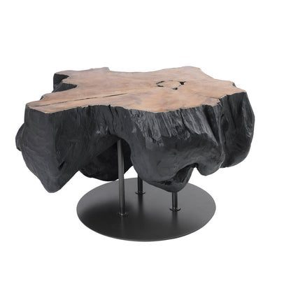 New Pacific Direct Lenna 31.5" Recycled Teak Root End/ Coffee Table 9600039 - 9600039