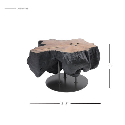 New Pacific Direct Lenna 31.5" Recycled Teak Root End/ Coffee Table 9600039 - 9600039